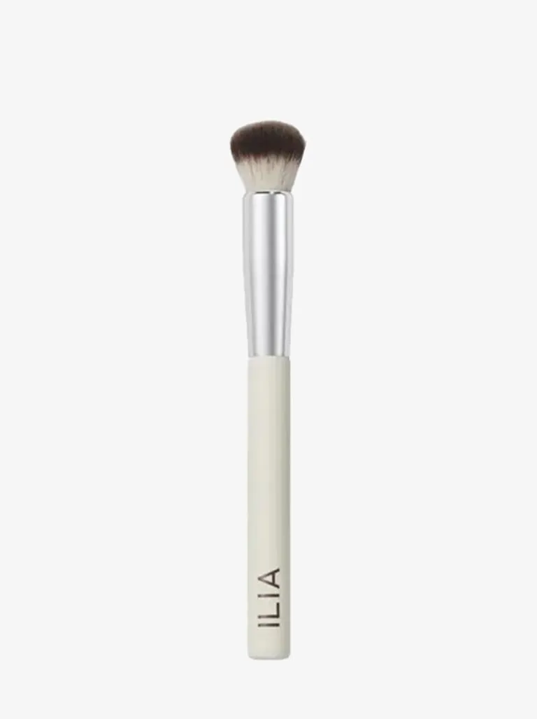 Complexion brush