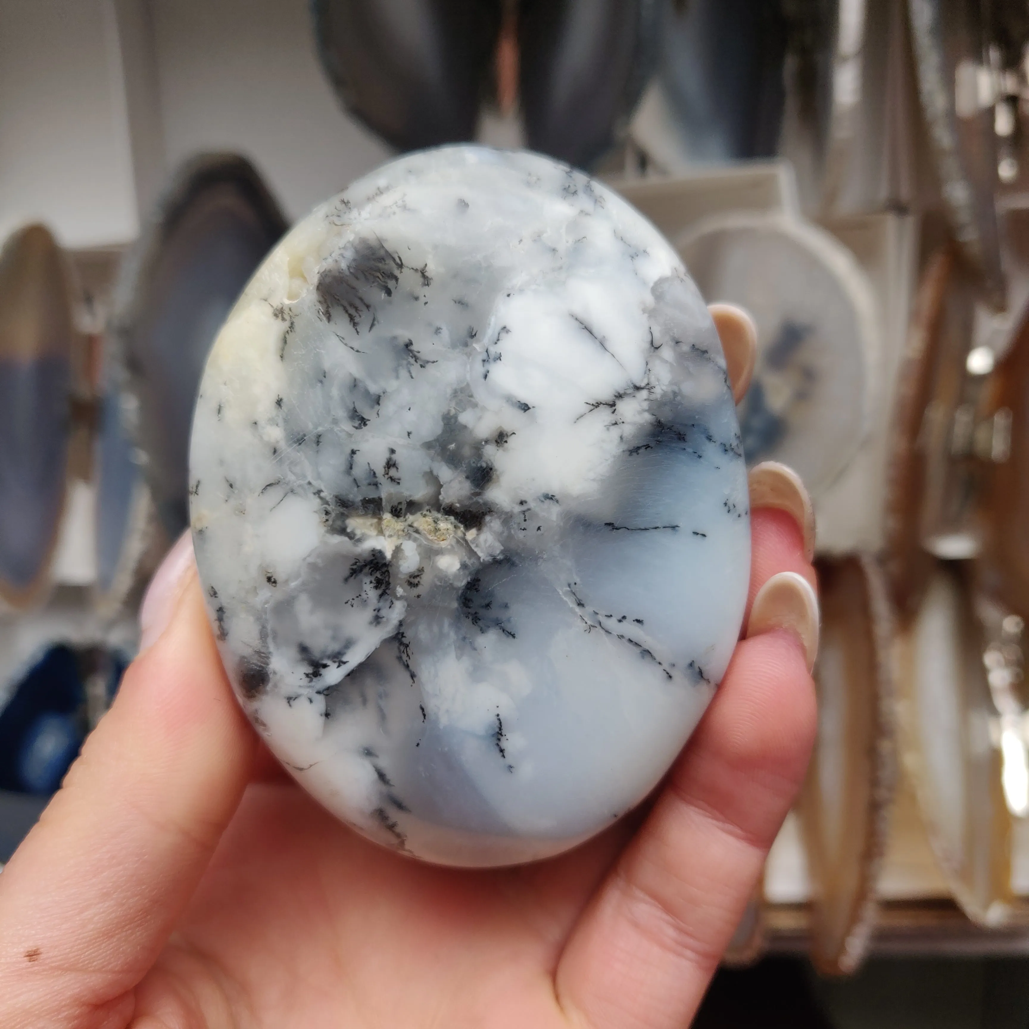 Dendritic Opal Palm Stone (#33)