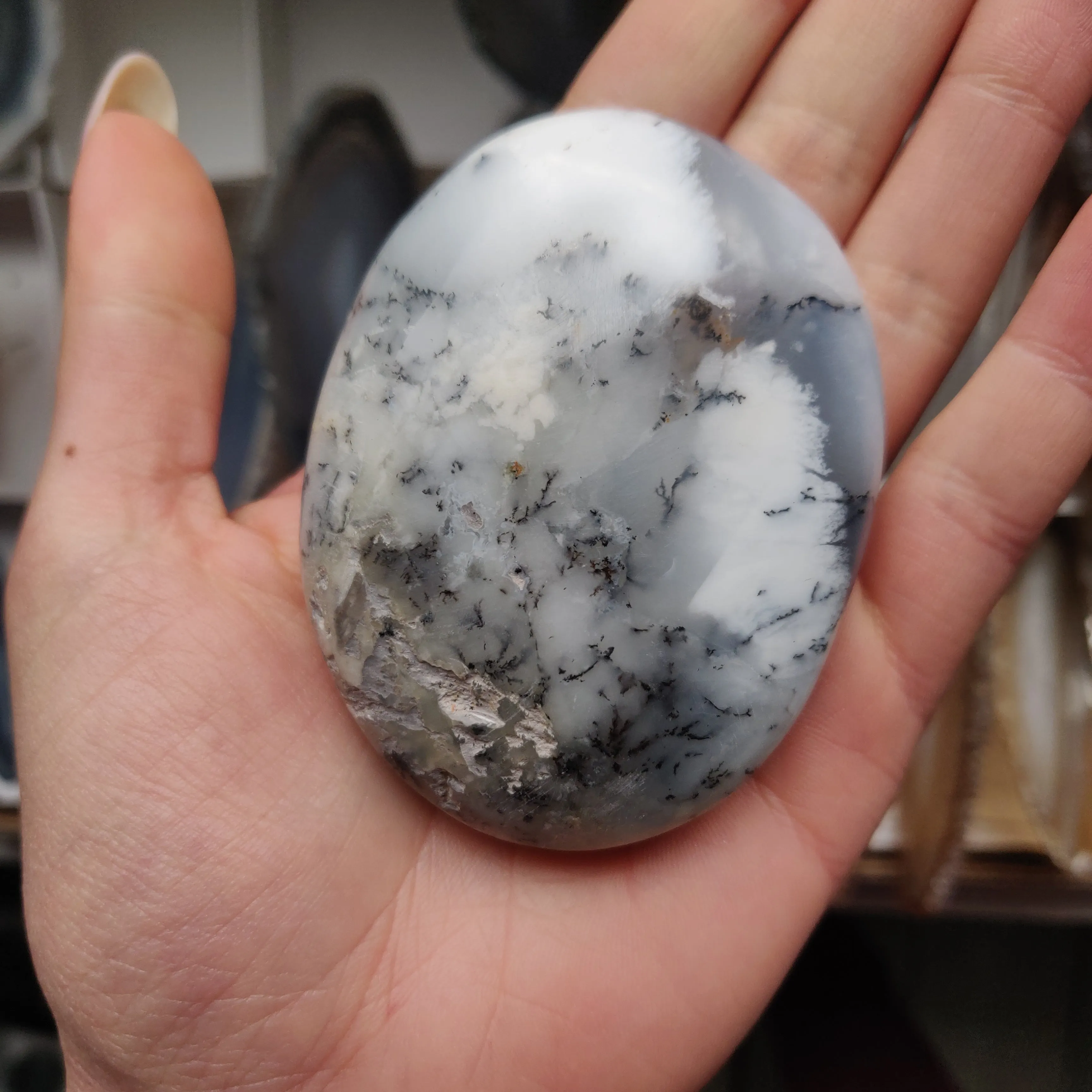 Dendritic Opal Palm Stone (#33)