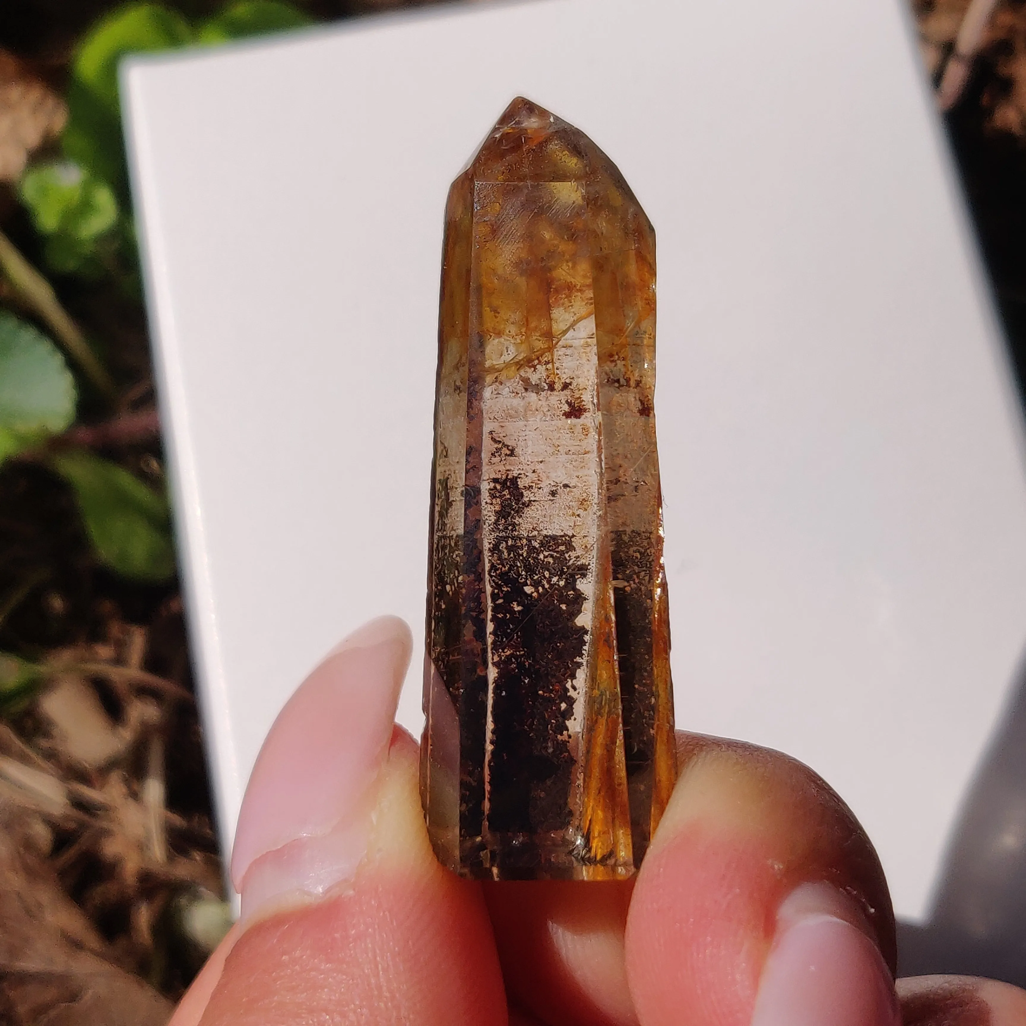 Garden Quartz Point, Lodolite Point (#13G)