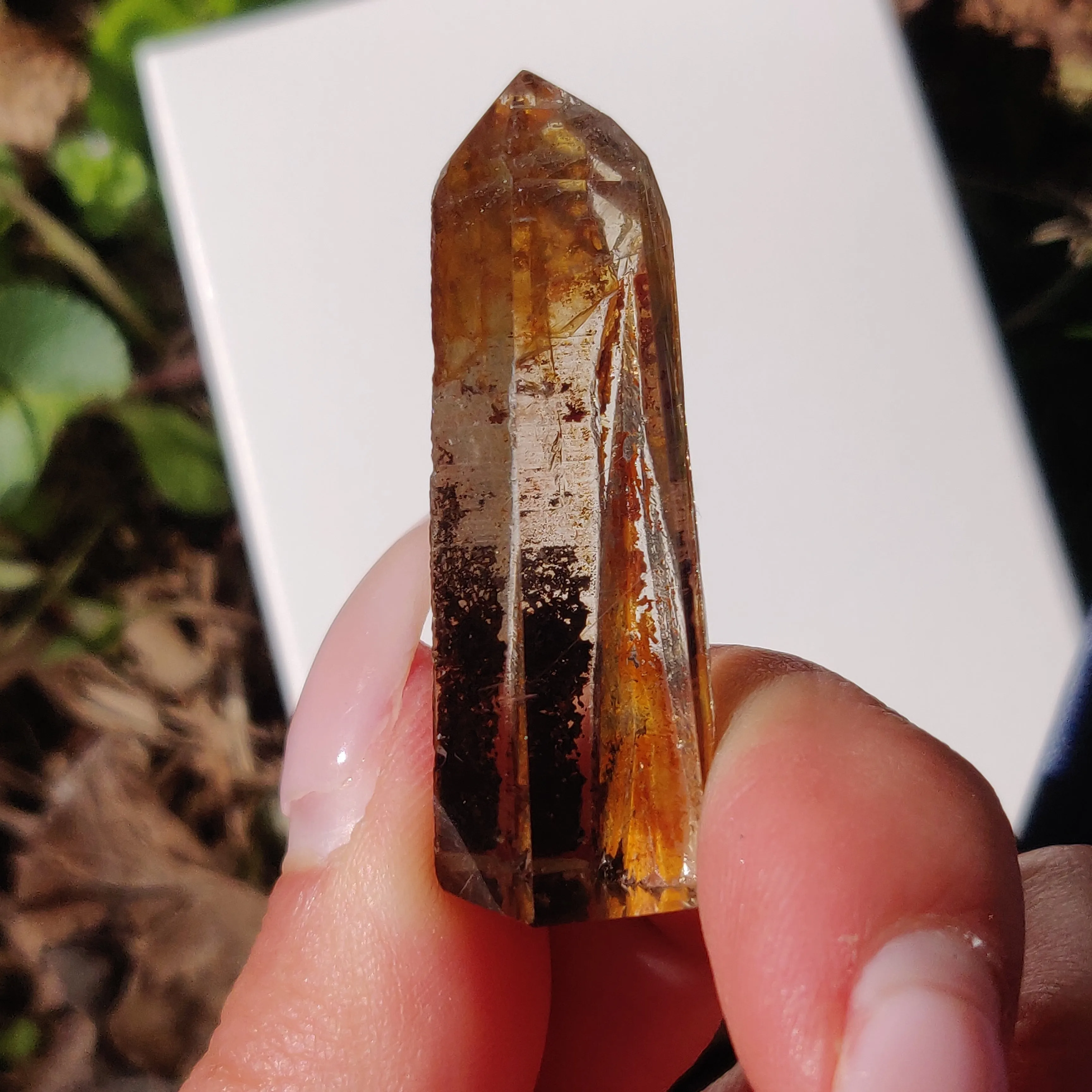 Garden Quartz Point, Lodolite Point (#13G)