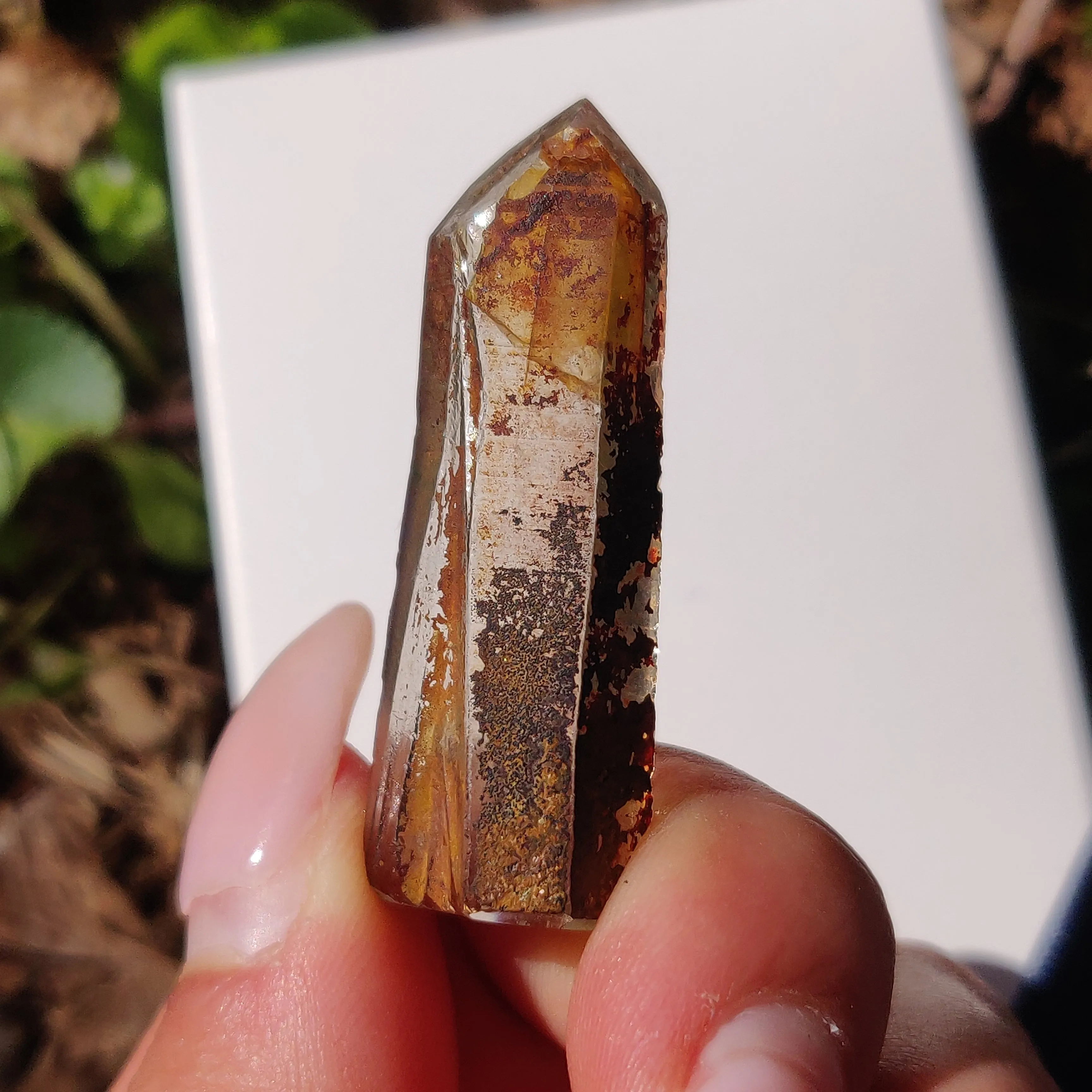 Garden Quartz Point, Lodolite Point (#13G)