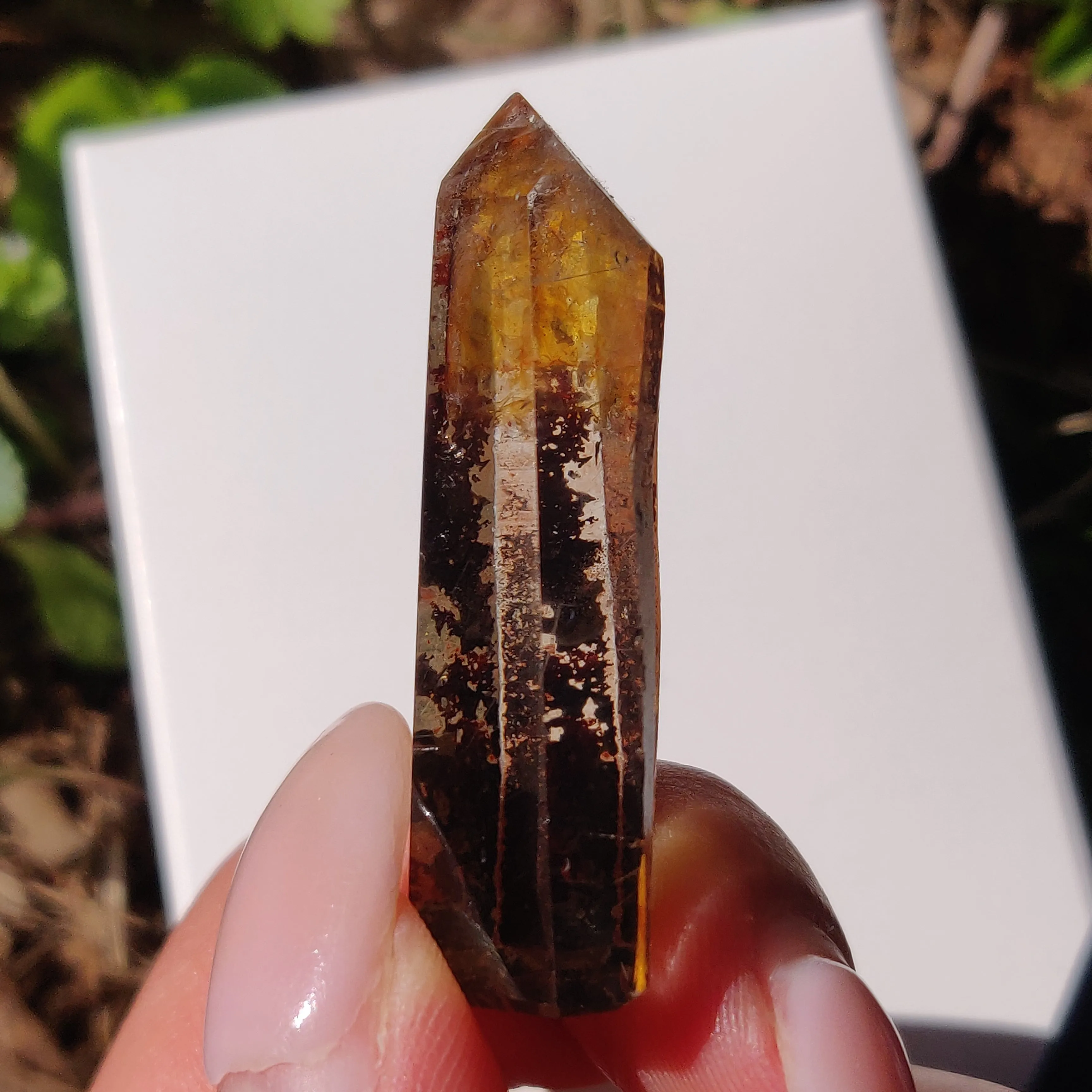 Garden Quartz Point, Lodolite Point (#13G)