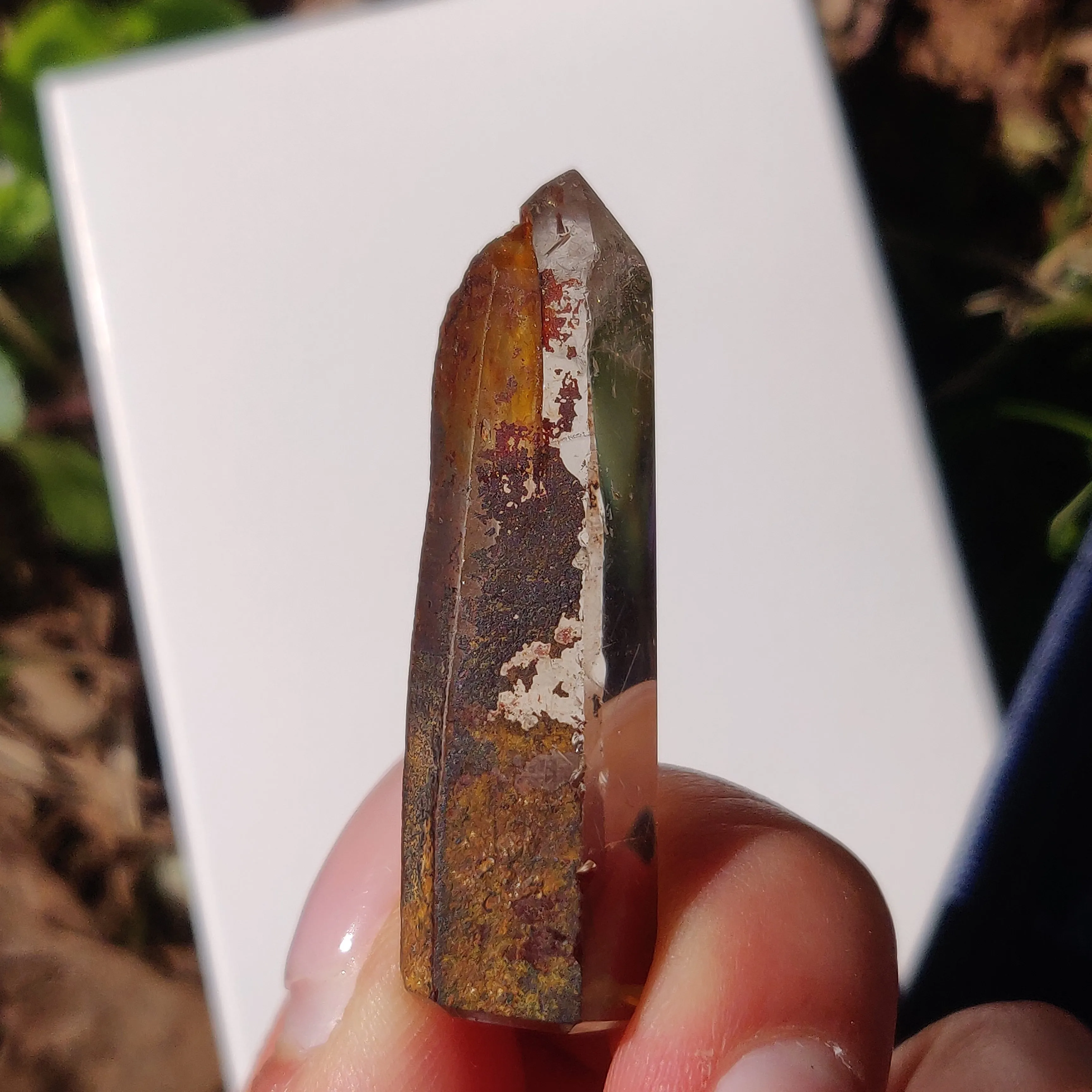 Garden Quartz Point, Lodolite Point (#13G)