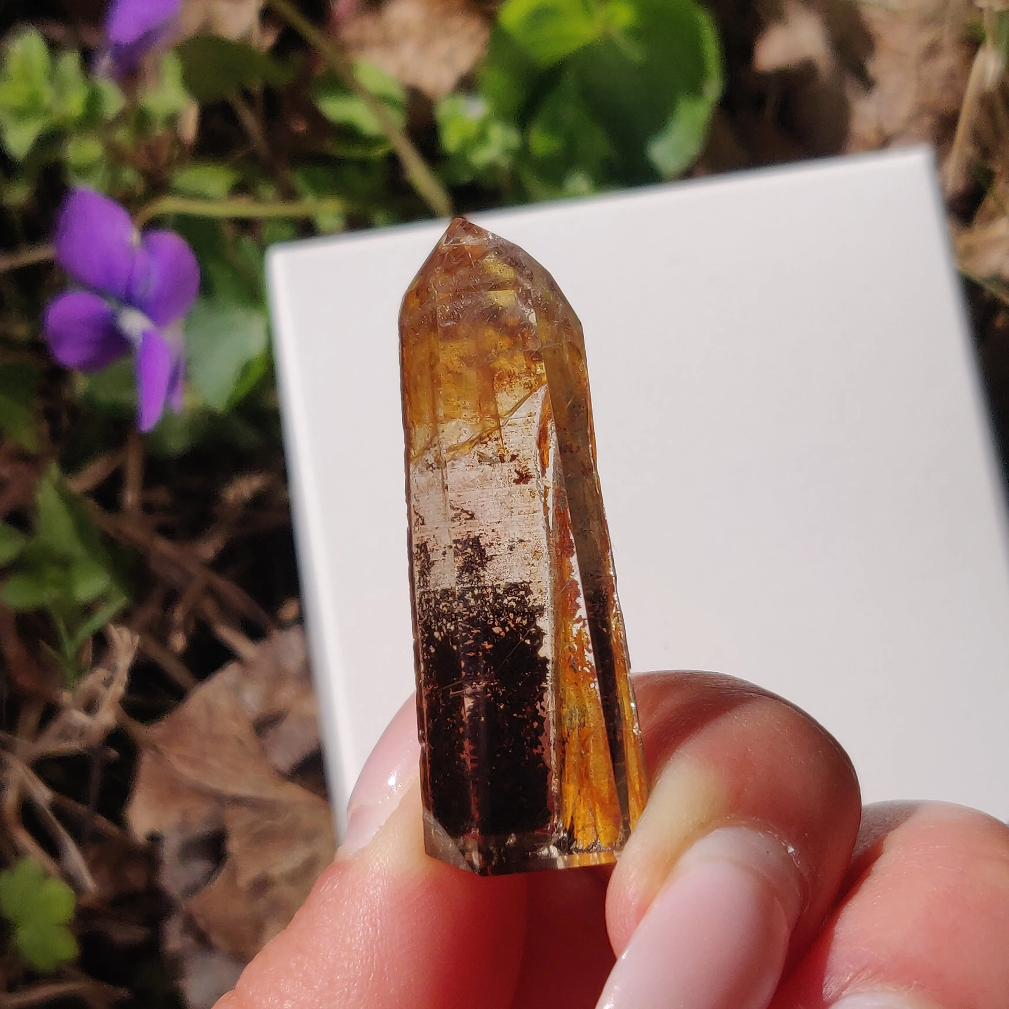 Garden Quartz Point, Lodolite Point (#13G)