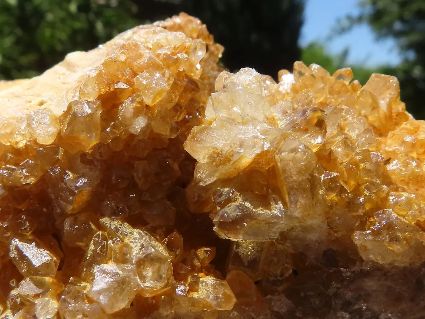 Natural Golden Limonite Quartz Clusters x 12 From Zimbabwe