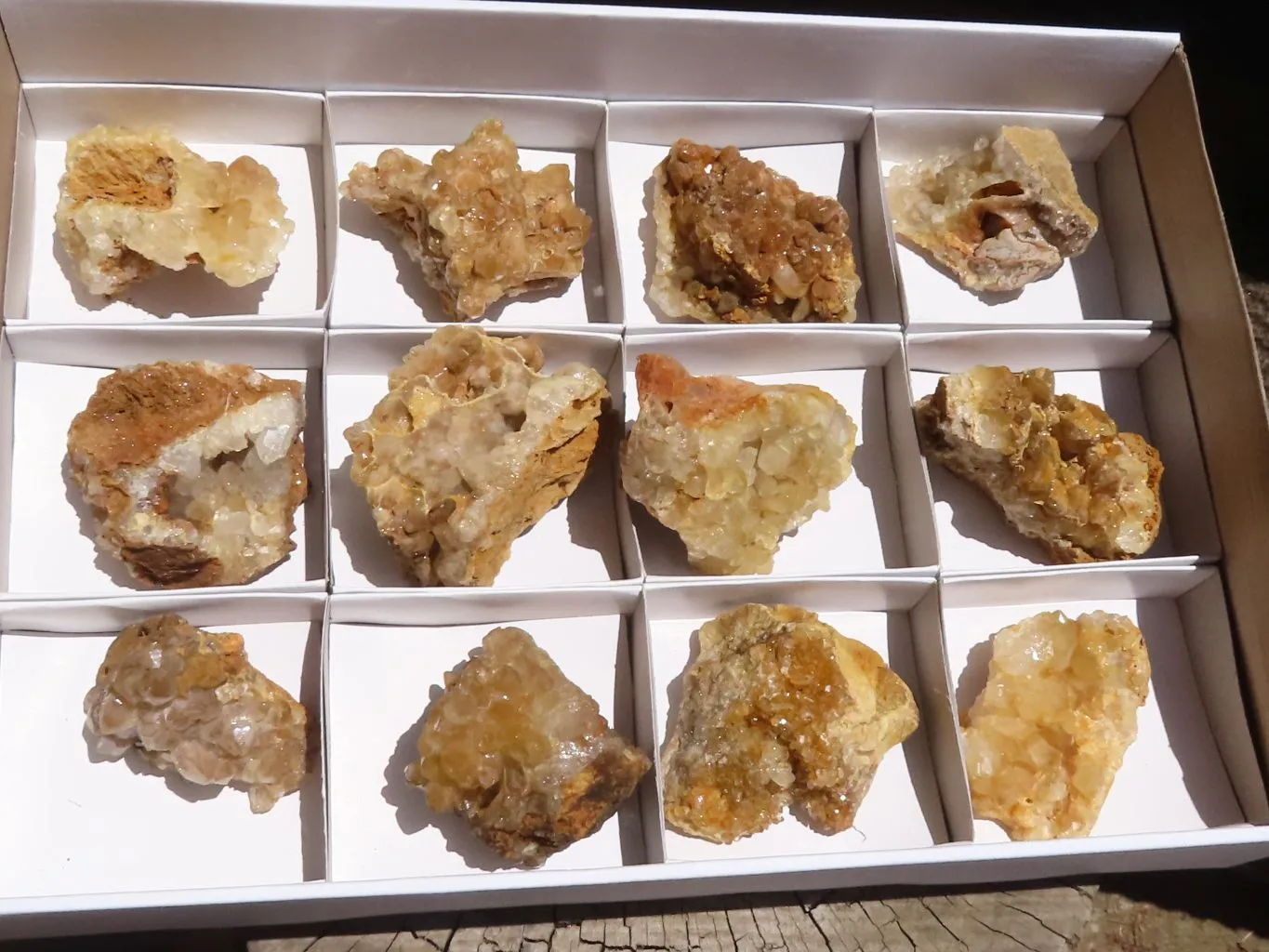 Natural Golden Limonite Quartz Clusters x 12 From Zimbabwe