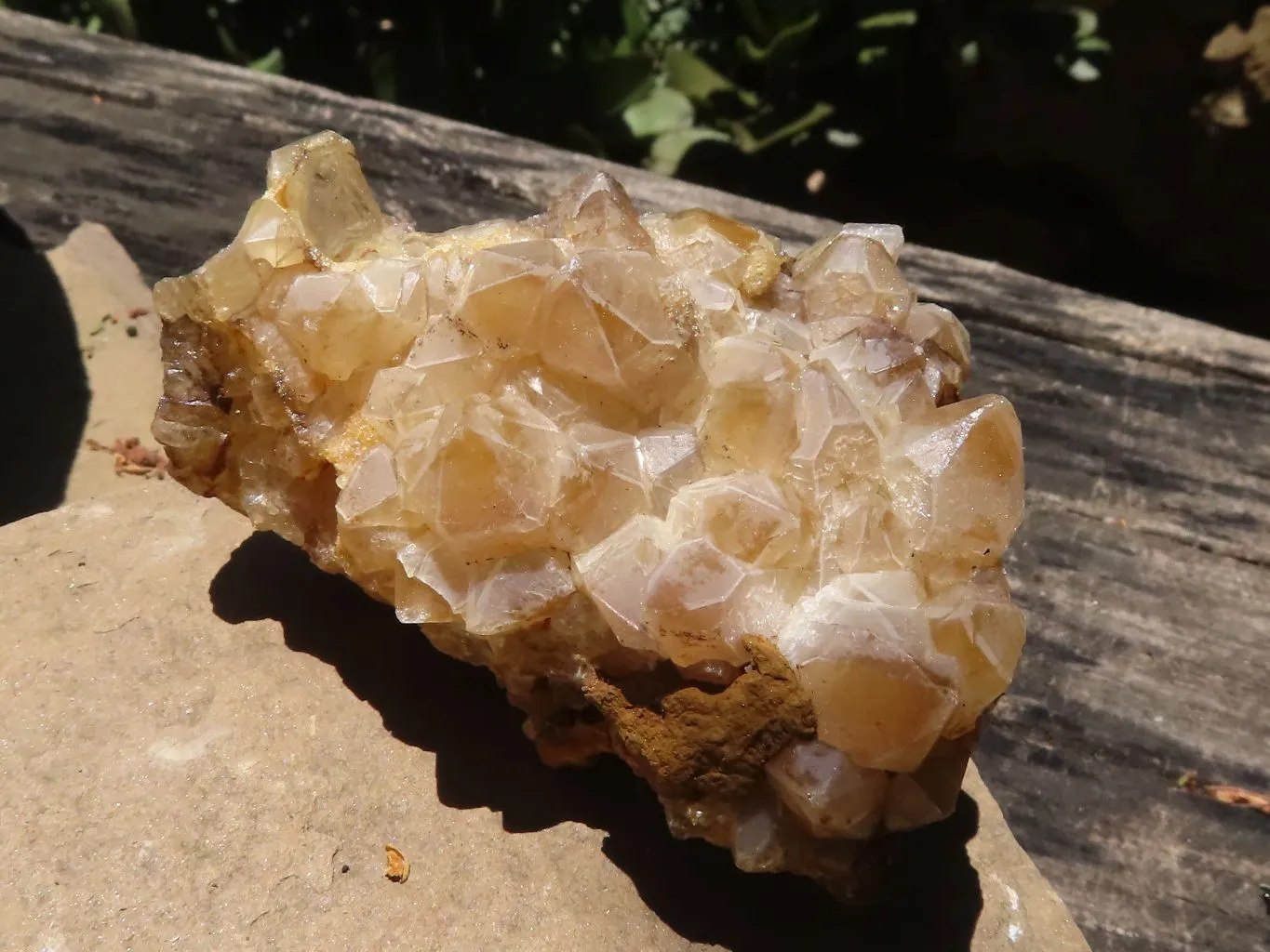 Natural Golden Limonite Quartz Clusters x 12 From Zimbabwe