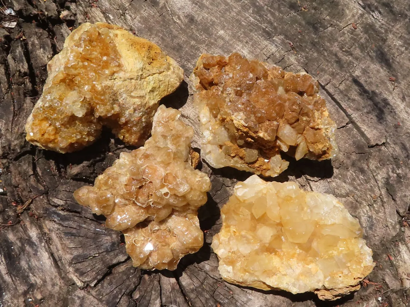 Natural Golden Limonite Quartz Clusters x 12 From Zimbabwe