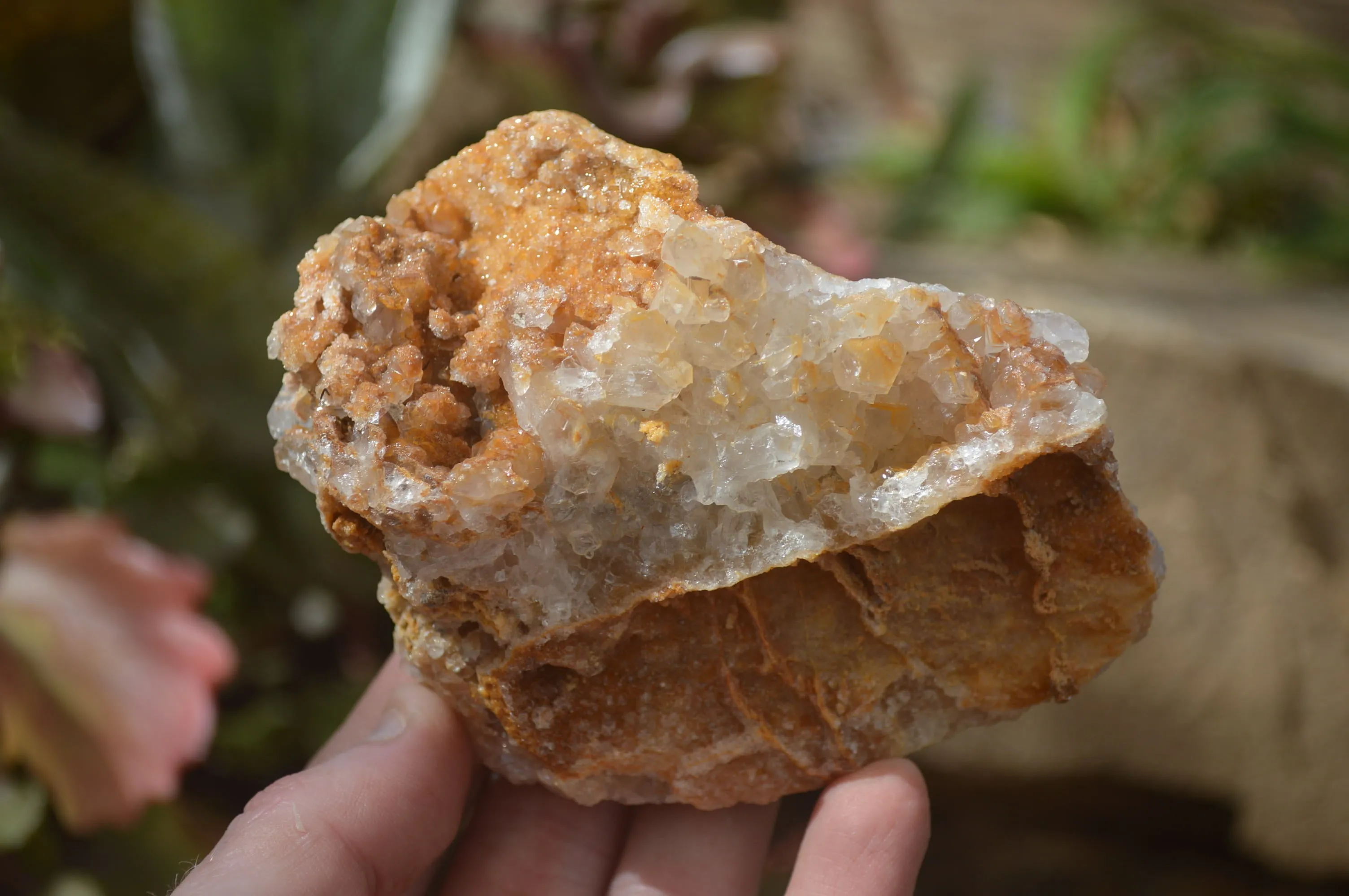 Natural Golden Limonite Quartz Clusters x 6 From Zambia