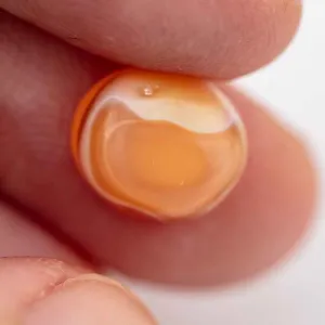 Natural Oval Shape Egg Mexican Fire Opal