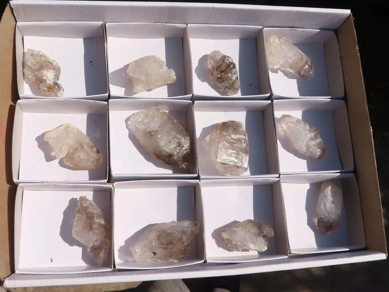 Natural Smokey Window Brandberg Quartz Crystals x 12 From Brandberg, Namibia
