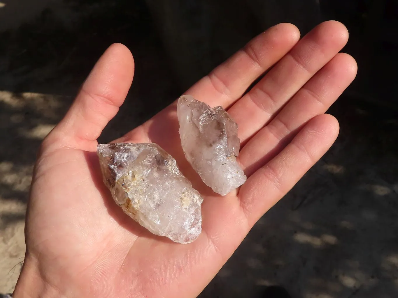 Natural Smokey Window Brandberg Quartz Crystals x 12 From Brandberg, Namibia