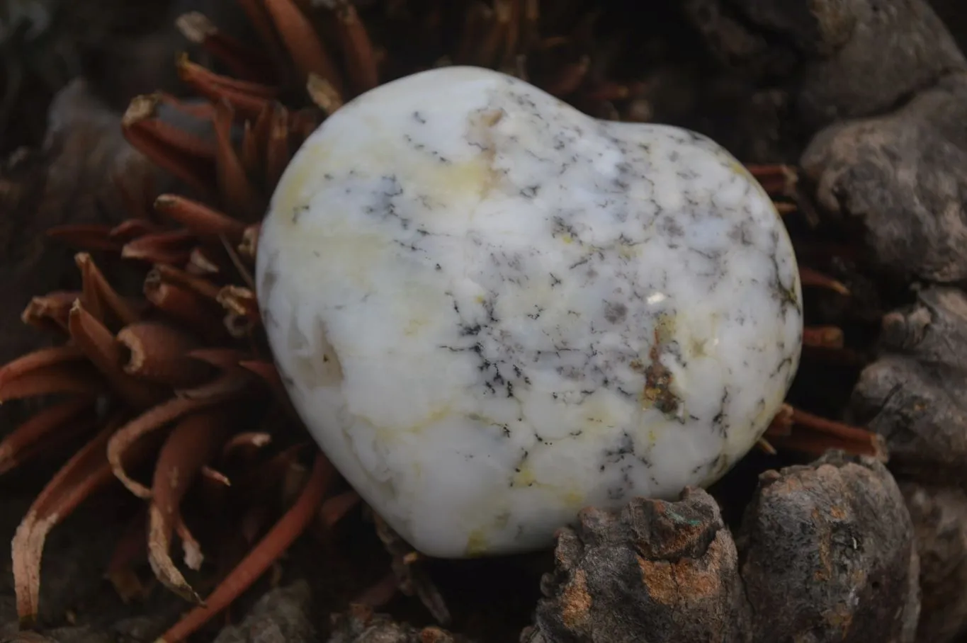 Polished Dendritic Opal Gemstone Hearts x 8 From Madagascar