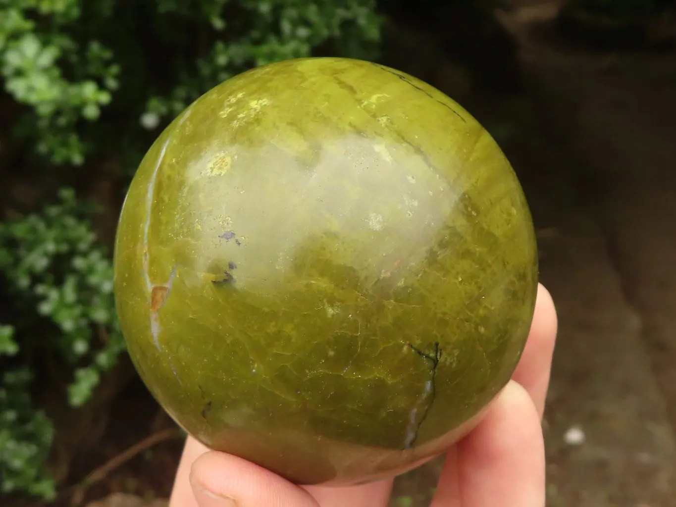 Polished Gorgeous Selection Of Green Opal Spheres  x 3 From Madagascar
