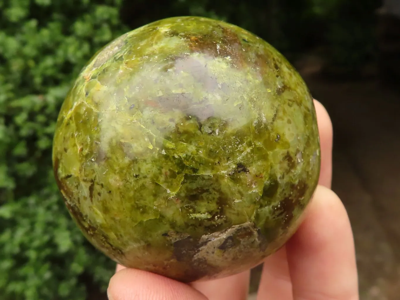 Polished Gorgeous Selection Of Green Opal Spheres  x 3 From Madagascar