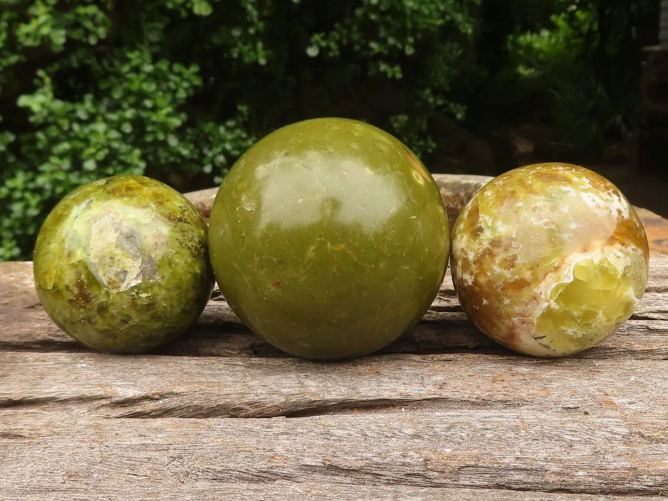 Polished Gorgeous Selection Of Green Opal Spheres  x 3 From Madagascar