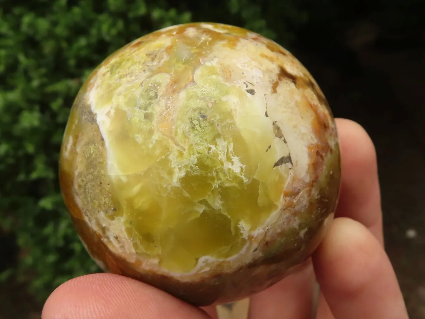 Polished Gorgeous Selection Of Green Opal Spheres  x 3 From Madagascar