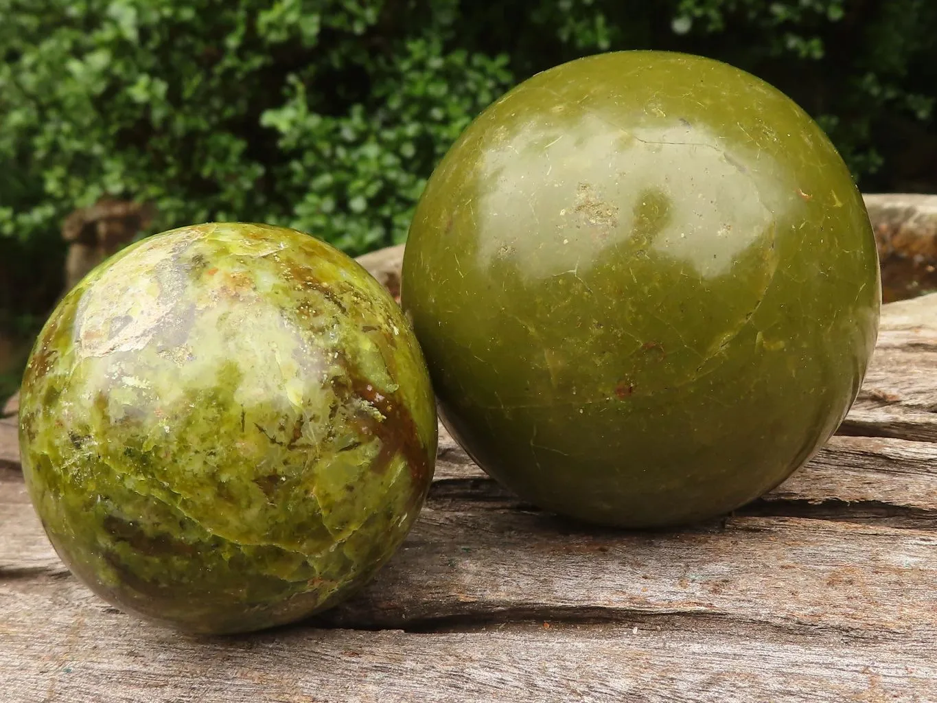 Polished Gorgeous Selection Of Green Opal Spheres  x 3 From Madagascar