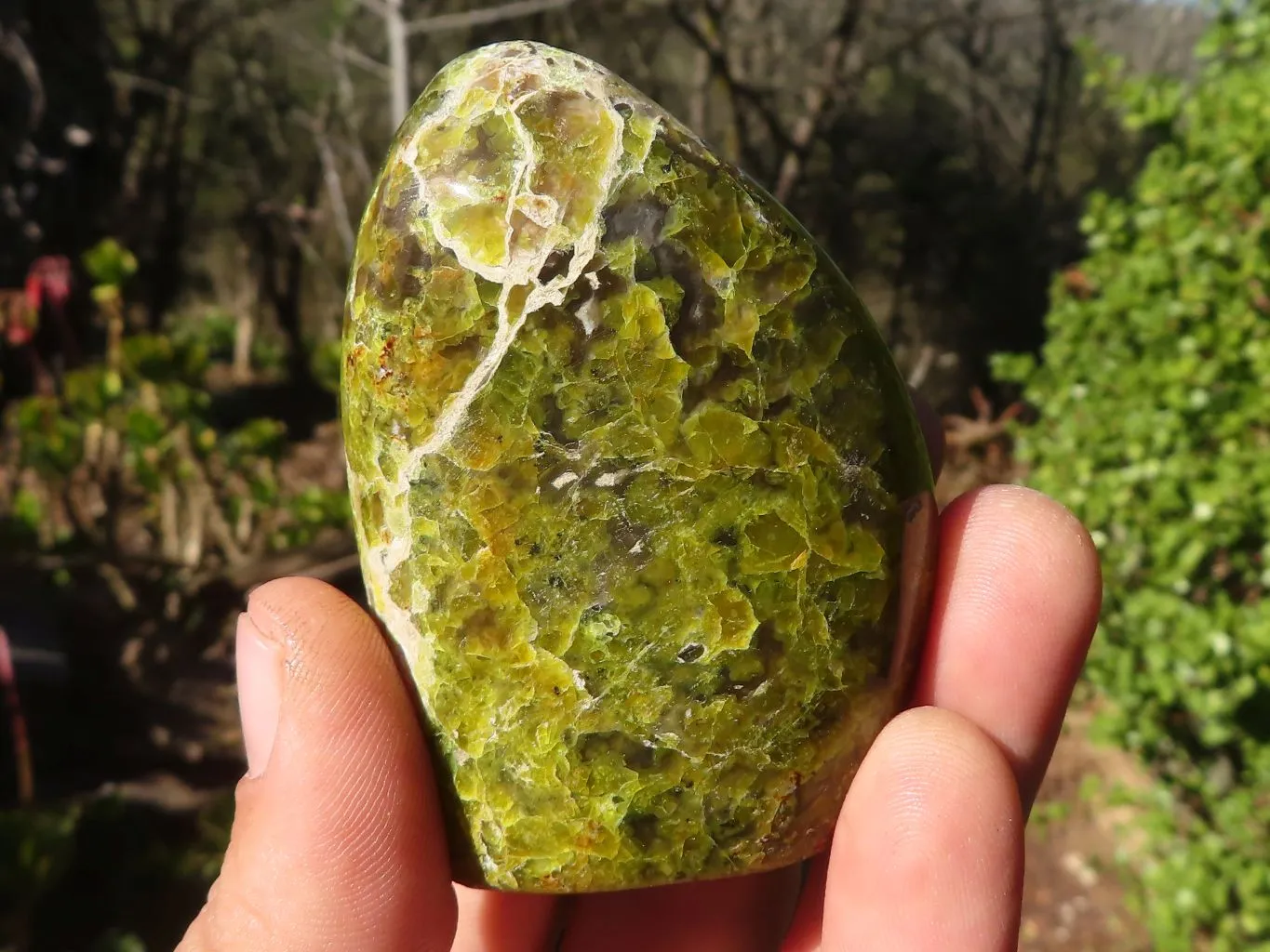 Polished  Green Opal Standing Free Form  x 6 From Antsirabe, Madagascar