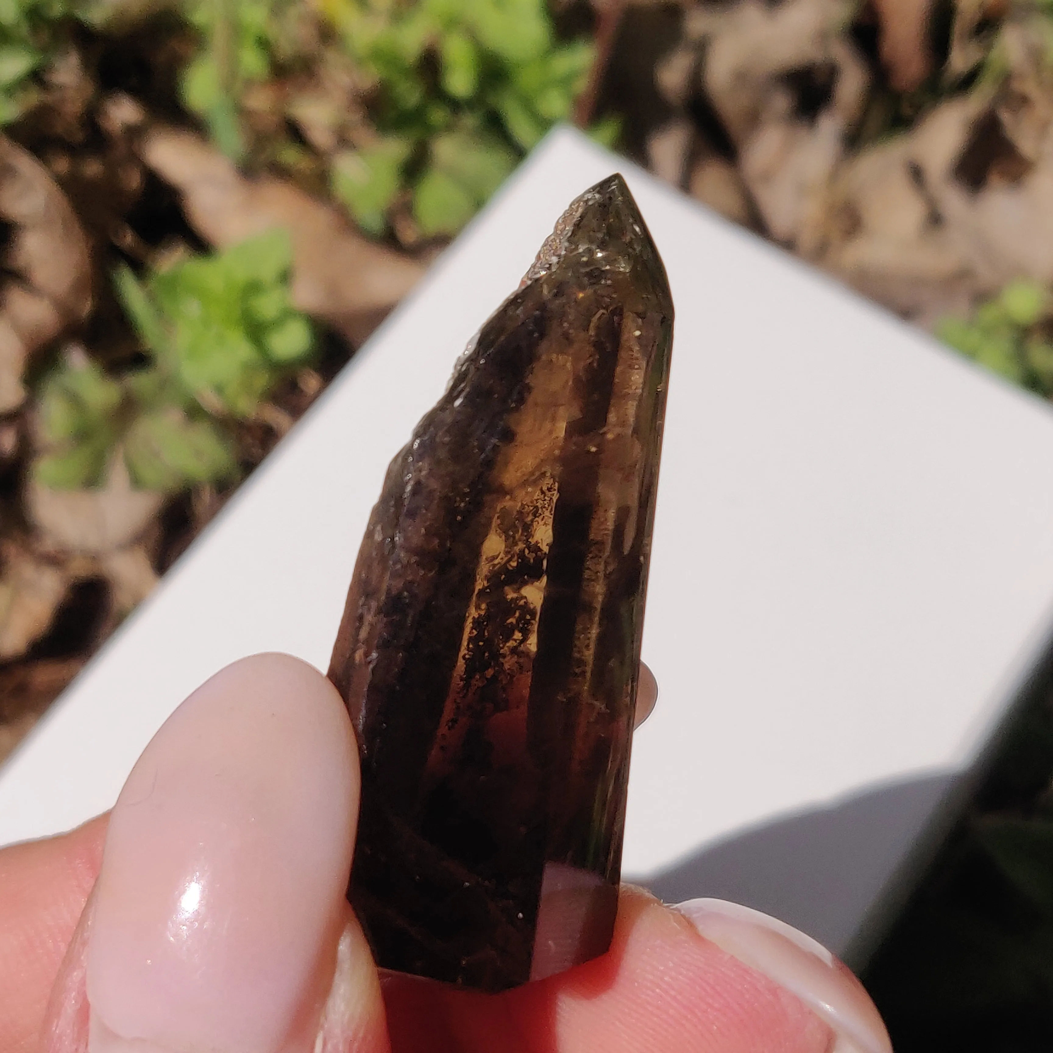 Smoky Garden Quartz Point, Lodolite Point (#5G)