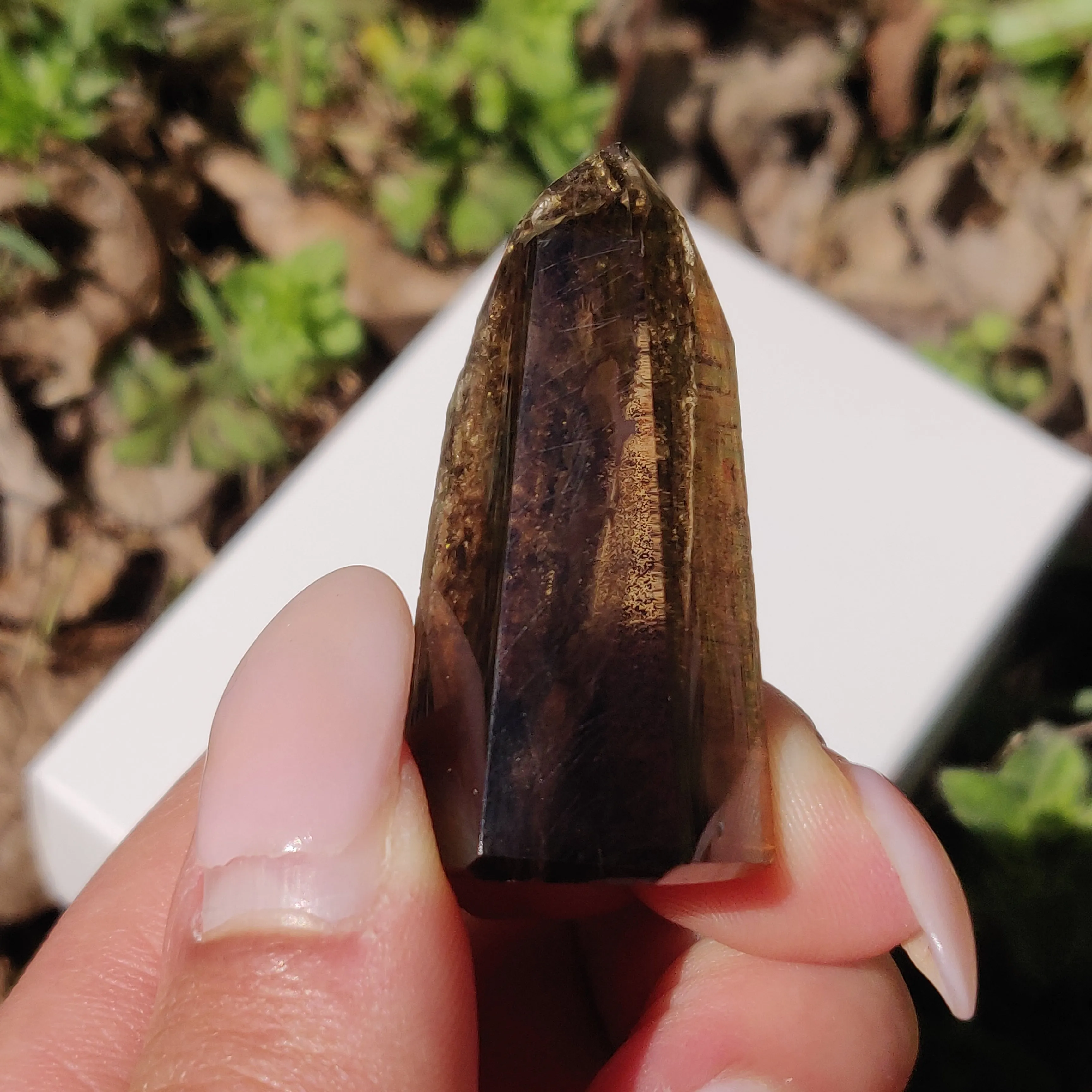 Smoky Garden Quartz Point, Lodolite Point (#5G)