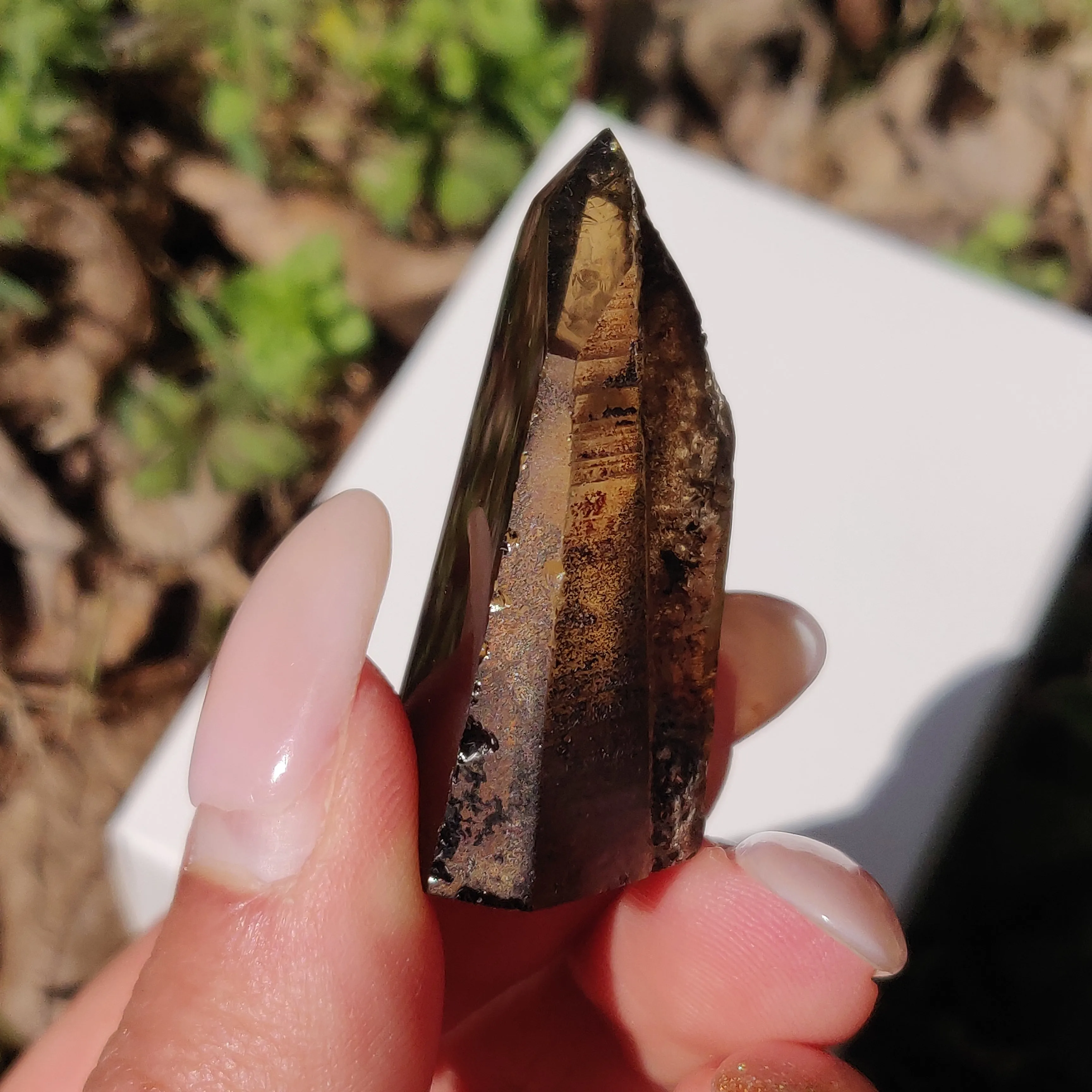 Smoky Garden Quartz Point, Lodolite Point (#5G)