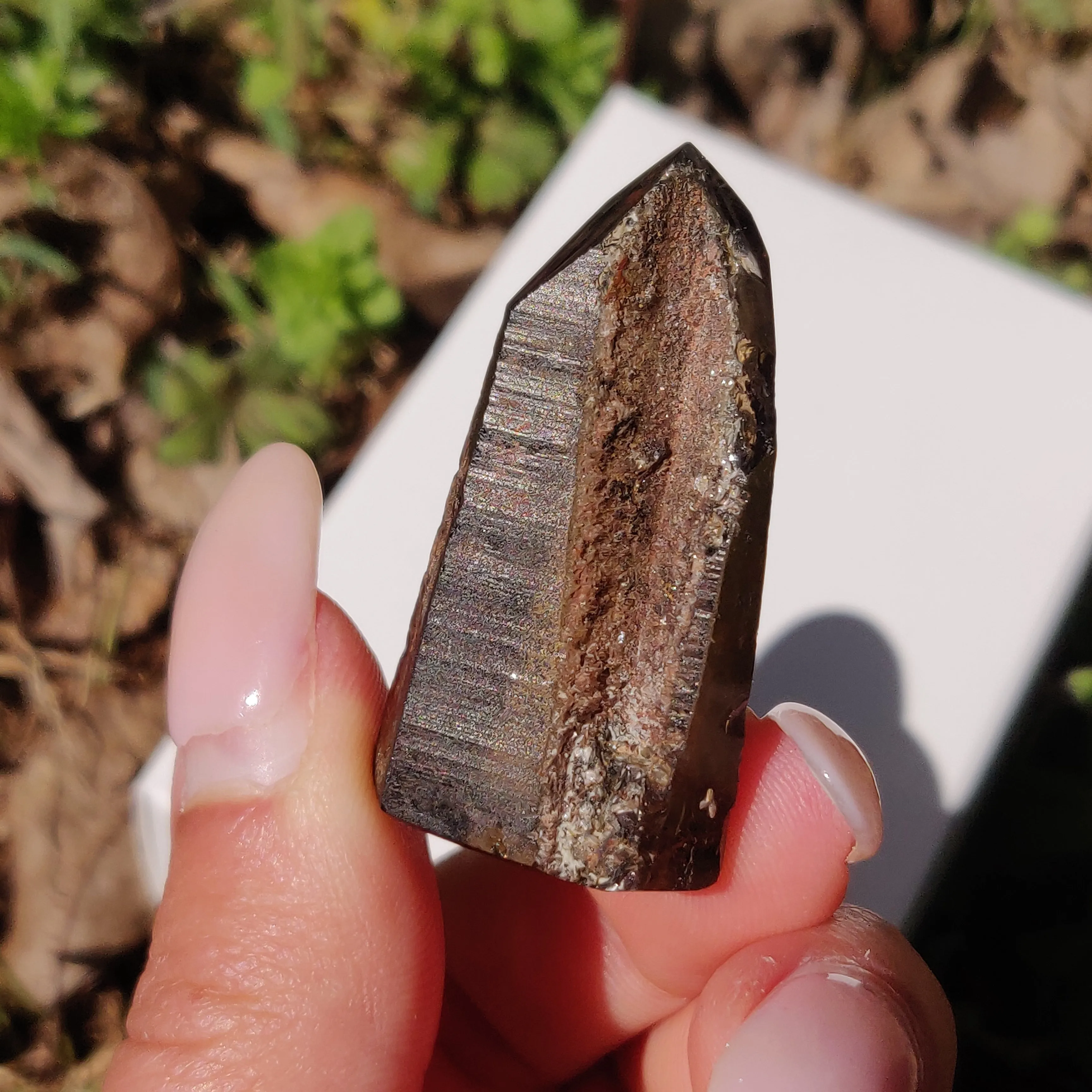 Smoky Garden Quartz Point, Lodolite Point (#5G)