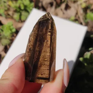 Smoky Garden Quartz Point, Lodolite Point (#5G)