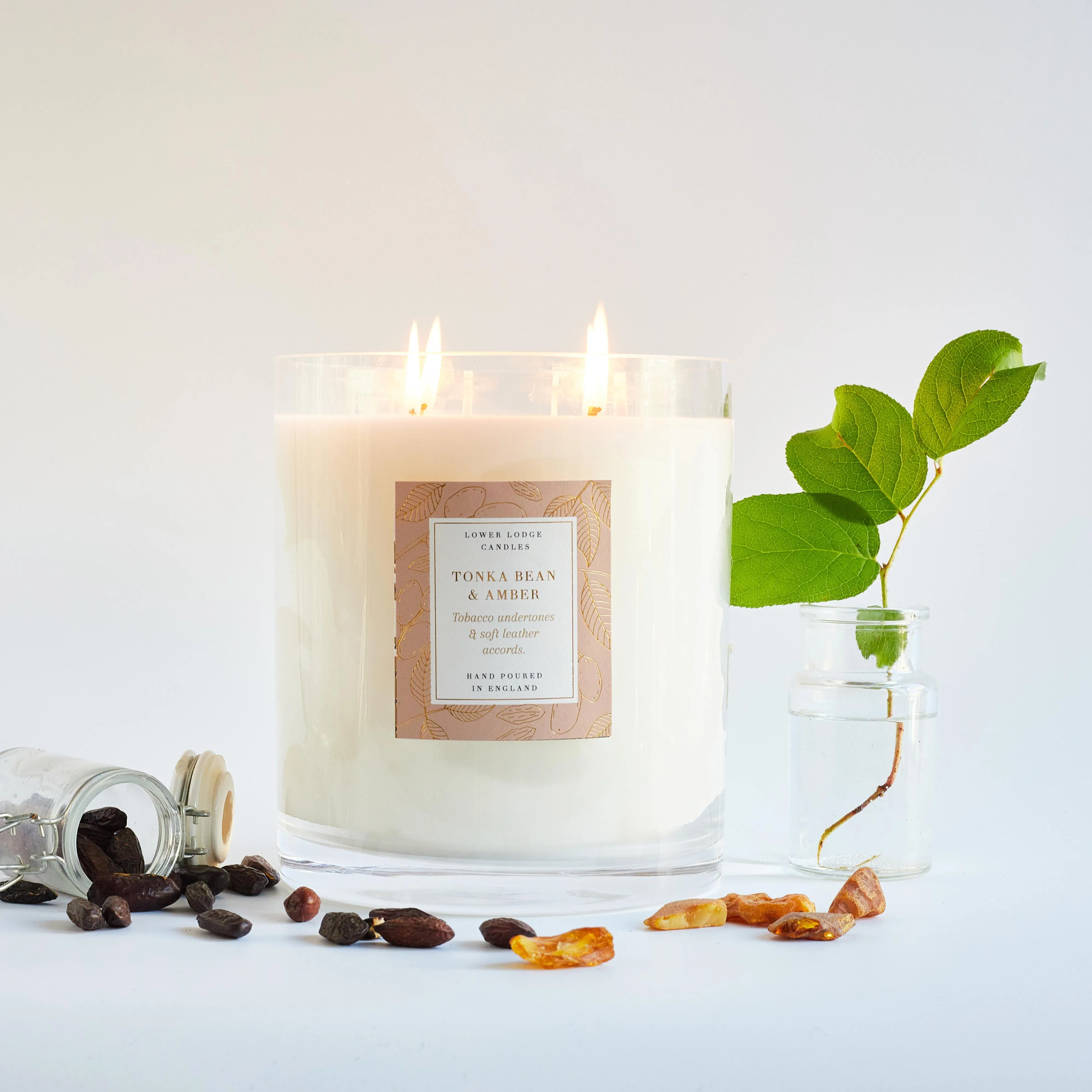 Tonka Bean and Amber 2kg Luxury Scented Candle